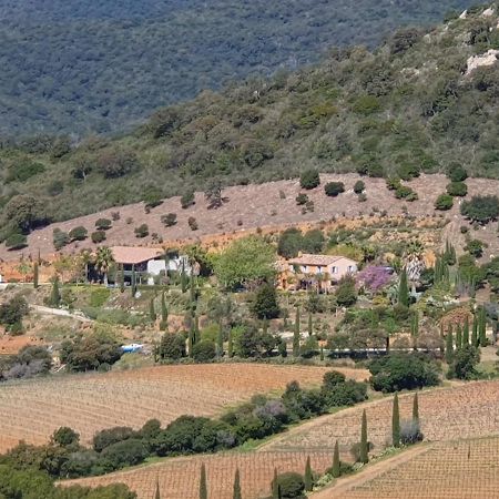 Bel Appart Style Vintage Vue Mer La Londe-les-Maures Eksteriør bilde