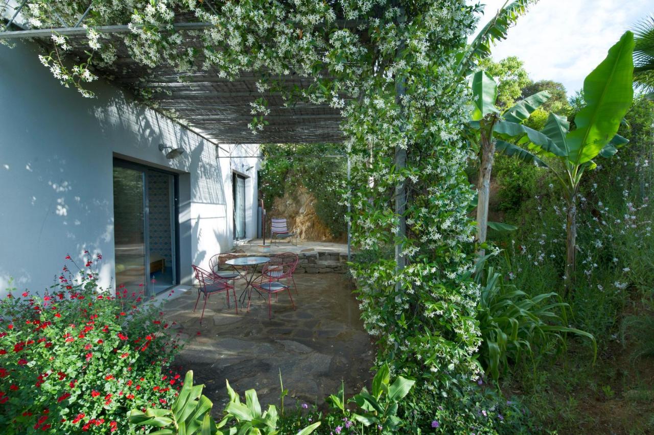 Bel Appart Style Vintage Vue Mer La Londe-les-Maures Eksteriør bilde
