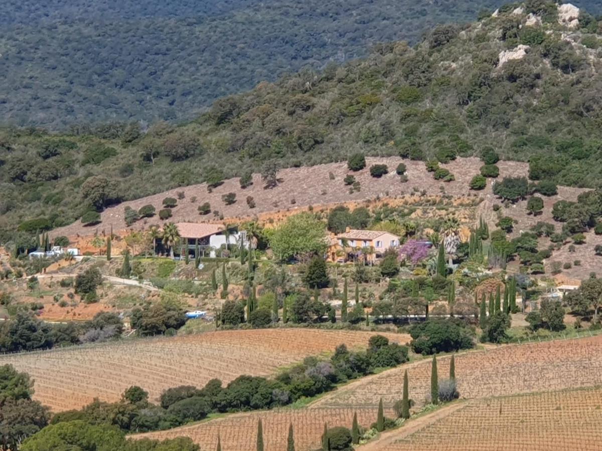 Bel Appart Style Vintage Vue Mer La Londe-les-Maures Eksteriør bilde