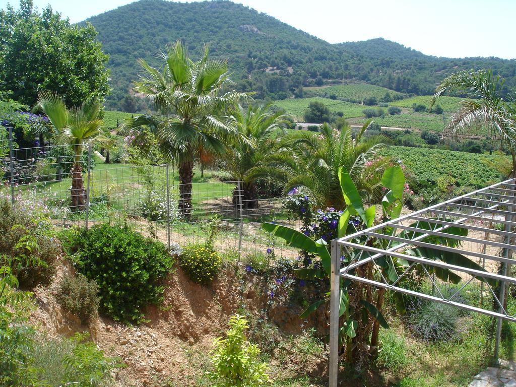 Bel Appart Style Vintage Vue Mer La Londe-les-Maures Rom bilde