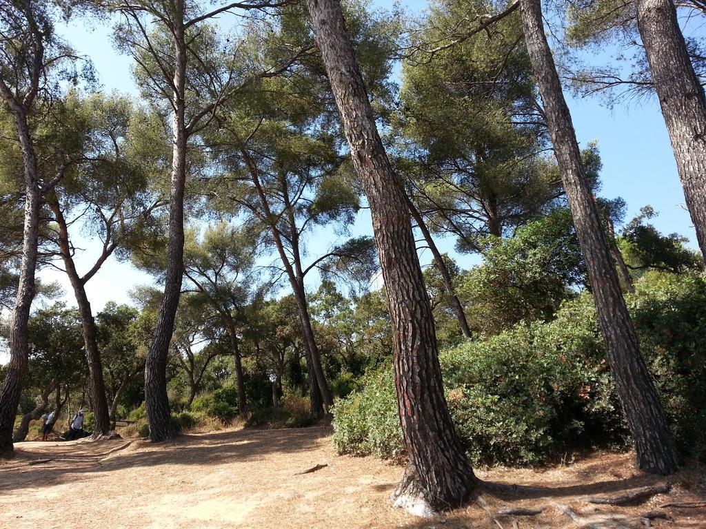 Bel Appart Style Vintage Vue Mer La Londe-les-Maures Rom bilde