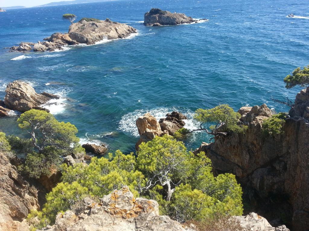 Bel Appart Style Vintage Vue Mer La Londe-les-Maures Eksteriør bilde