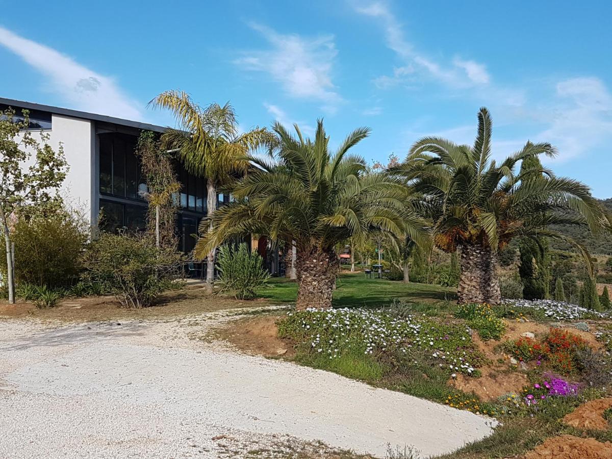 Bel Appart Style Vintage Vue Mer La Londe-les-Maures Eksteriør bilde